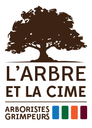 L'ARBRE ET LA CIME – Élagage et abattage – Montpellier